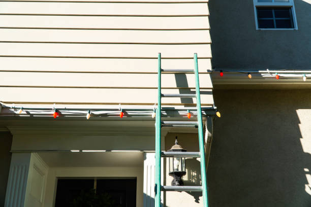 Best Custom Siding Design  in Dixon, CA