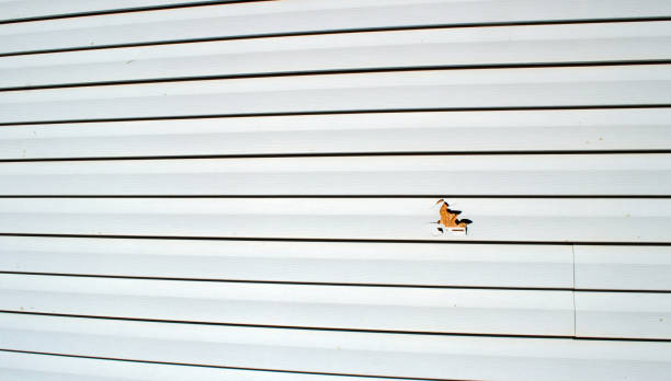 Best Fascia and Soffit Installation  in Dixon, CA