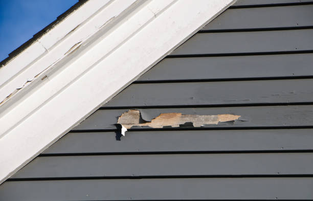 Best Custom Siding Design  in Dixon, CA
